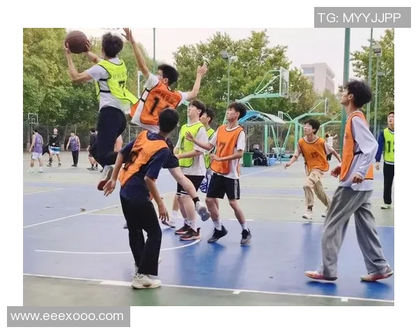 科学篮球团队协作训练方法探索与实践提升球员配合能力与比赛表现